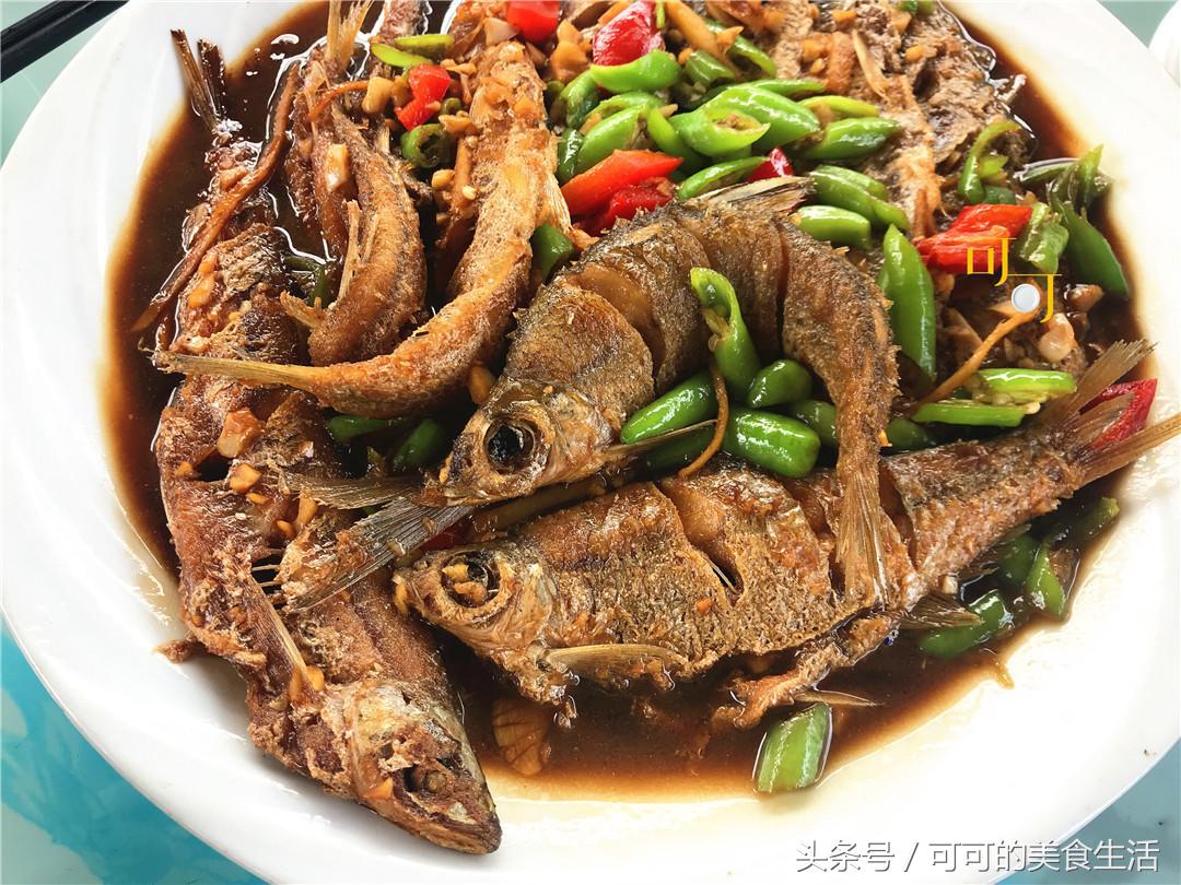 在新安江镇的农家乐，四个菜200元，第一次吃到新鲜河蚌