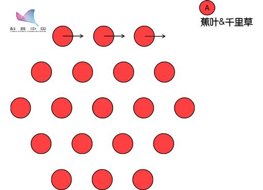 fast望远镜所能探测的天体系统 (fast天文望远镜接收到神秘信号)