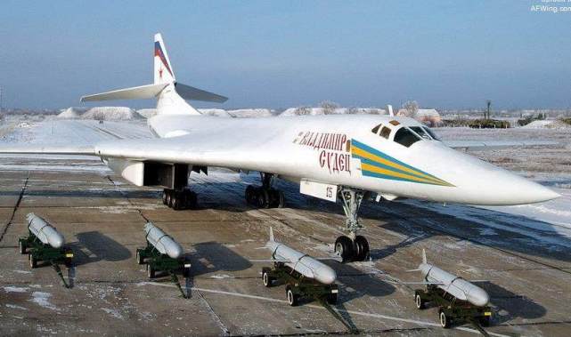 红色帝国的*力暴**美学！粗犷毛熊与优雅白天鹅的奇妙融合！