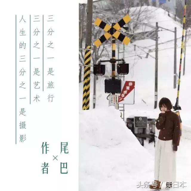 柴犬造型收纳袋?小兔子便当包?熊猫抱枕?你的小可爱都在这里~