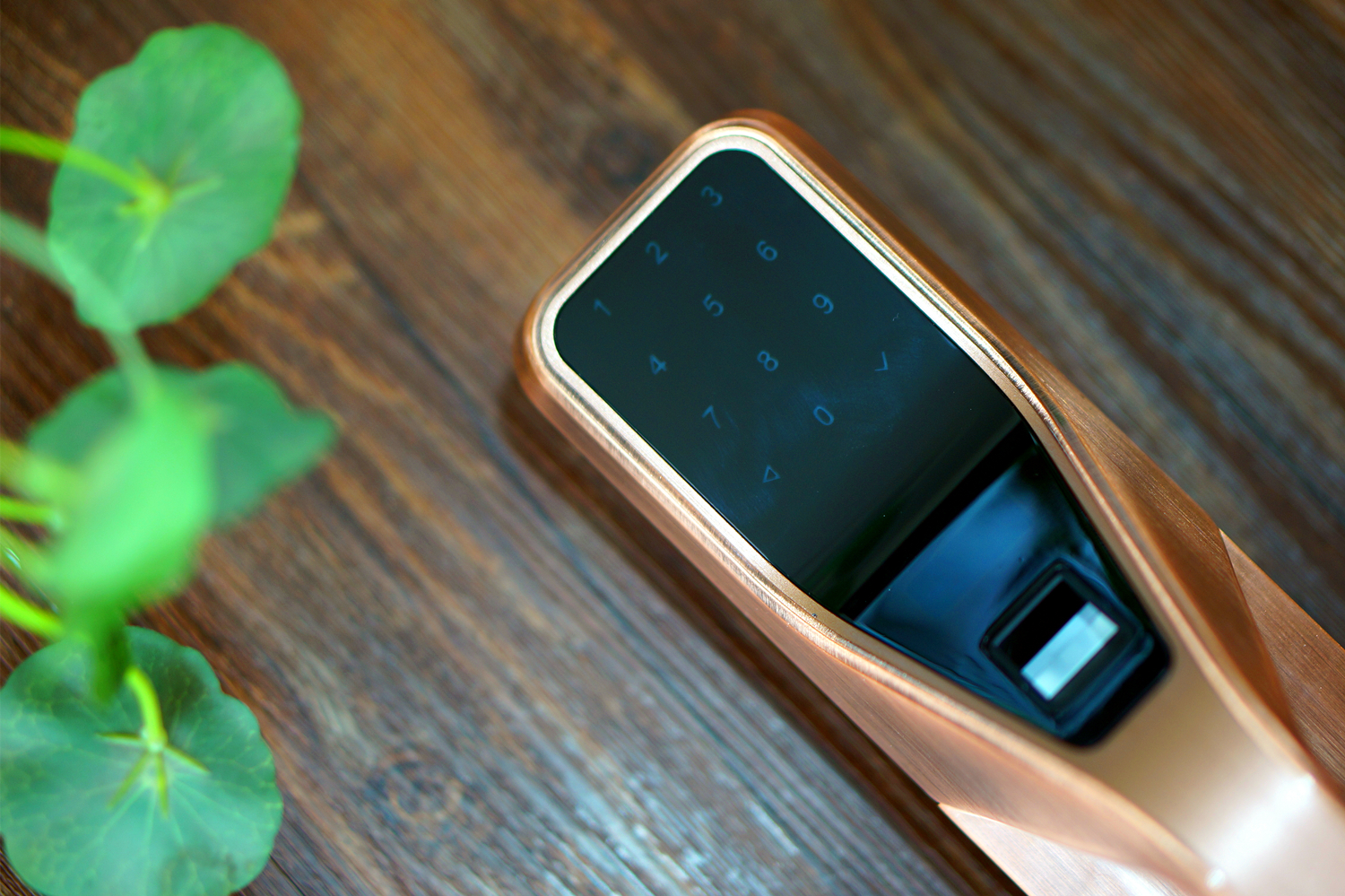 让你温馨港湾固若金汤——六孚方程式指纹防盗锁体验报告