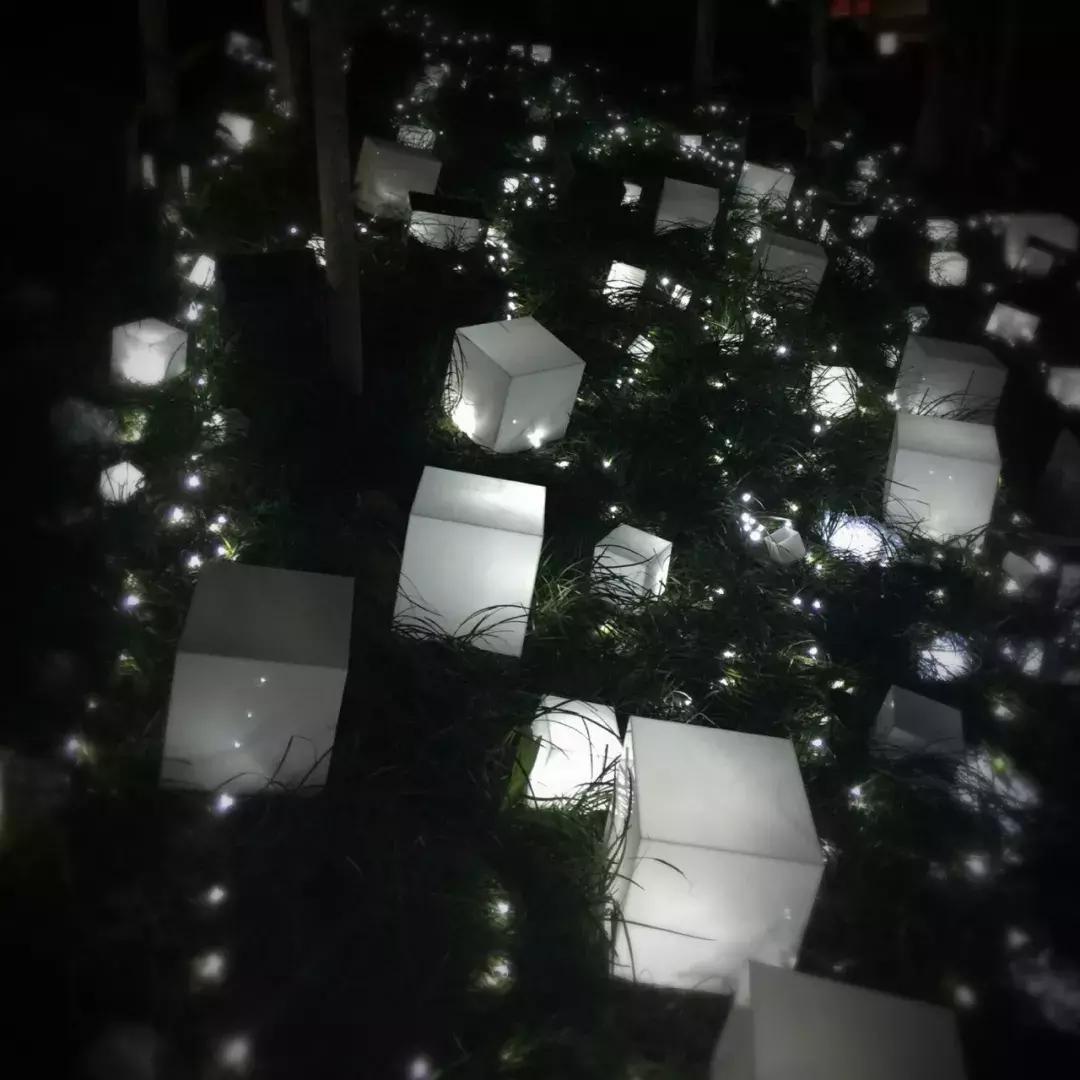 南艺爆料,南艺日常