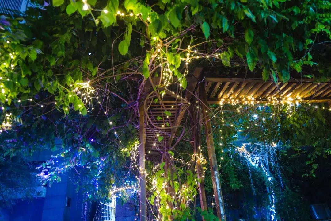 南艺爆料,南艺日常