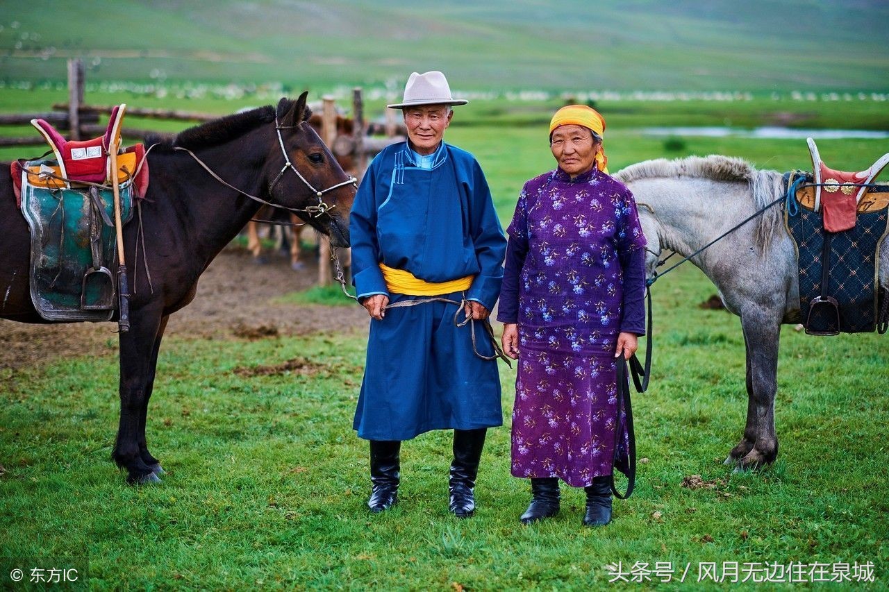 蒙古马和套马图片,蒙古套马绳子教学