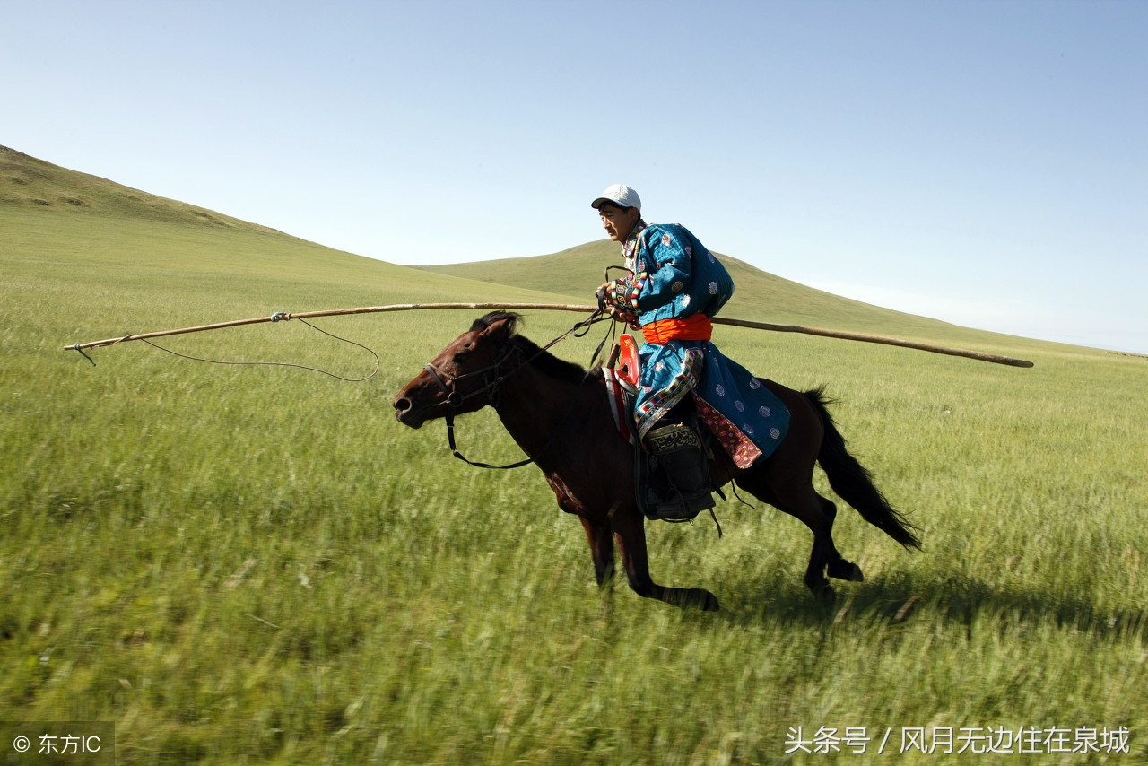 蒙古马和套马图片,蒙古套马绳子教学