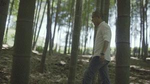 他找来浙大团队，用茶研发洗护用品，成了日本人都在代购的新国货