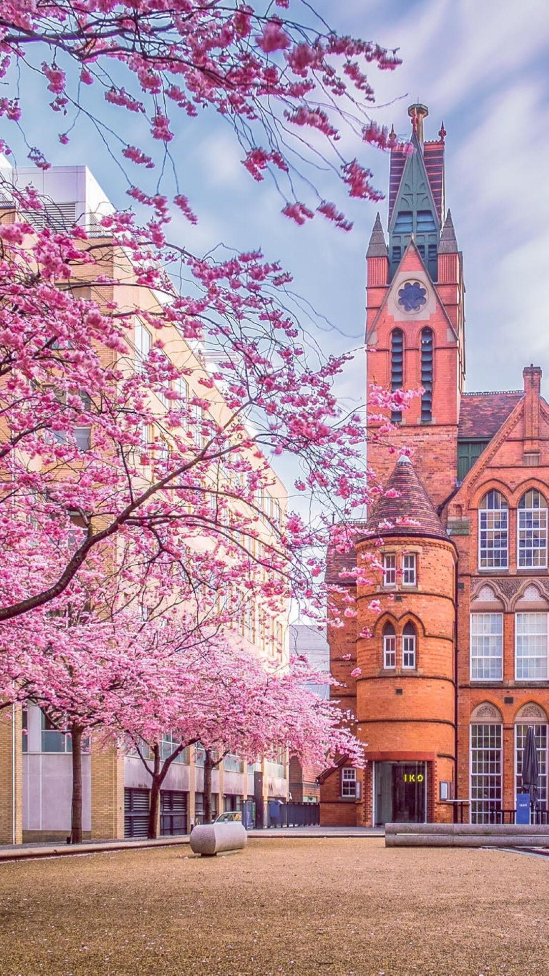 手机美丽壁纸,柔美如画的手机壁纸