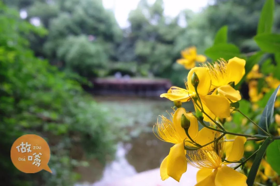 听说你住在兰陵？那我真的很羡慕你