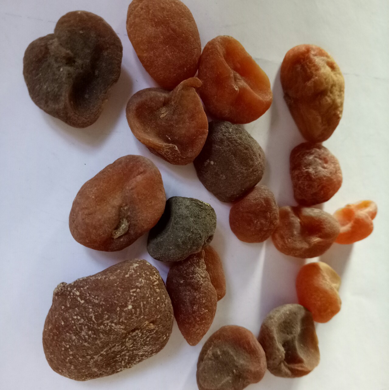 中药浙贝母归经,浙贝母和土贝母的辨识