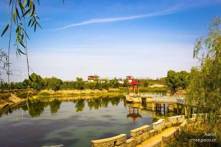 赣榆赶海海葵,自驾游露营野炊赶海