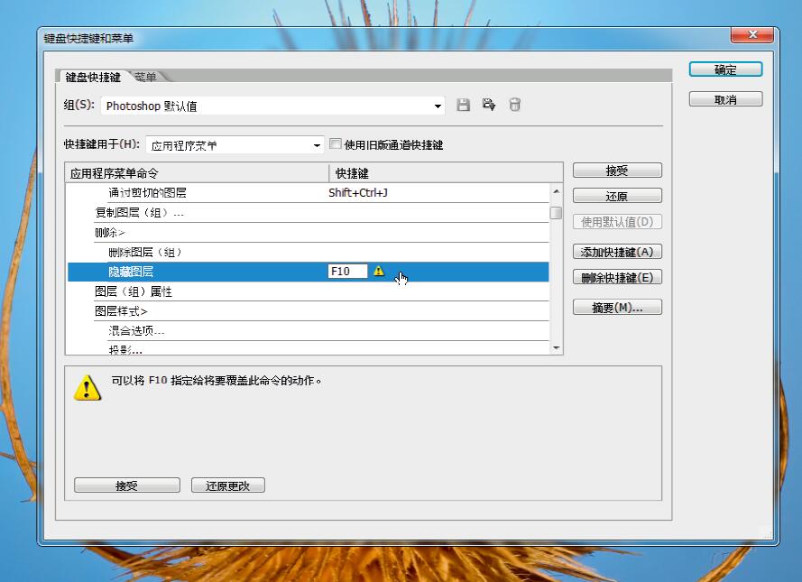 微距摄影后期合成,微距照片景深合成