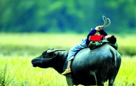 关于游玩的中国古诗词,描写春日儿童游玩的古诗