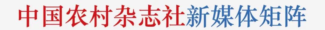 全国十大示范村名单,湖南100个农村特色示范村视频