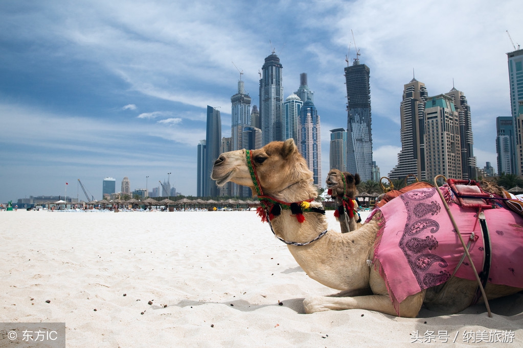 中国护照阿联酋签证免签,阿联酋免签旅游签证时间