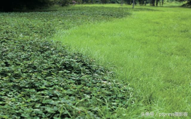 摄影后期六大剪裁技巧,摄影后期排版技巧图片