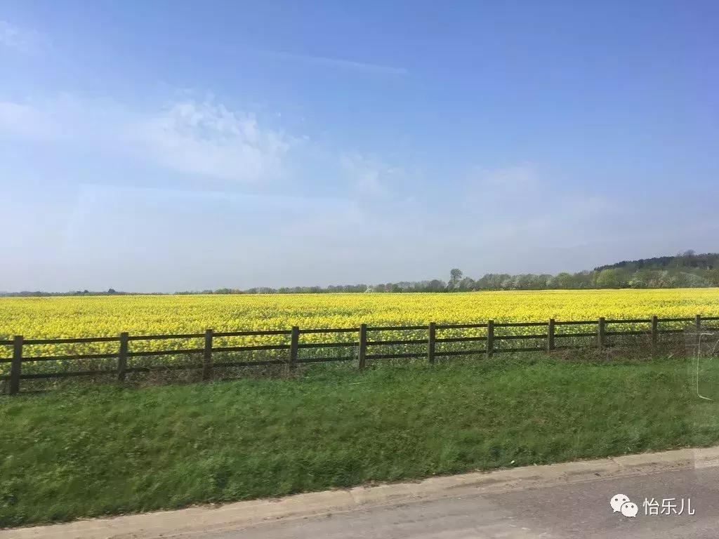 伦敦的5000分钟｜购物