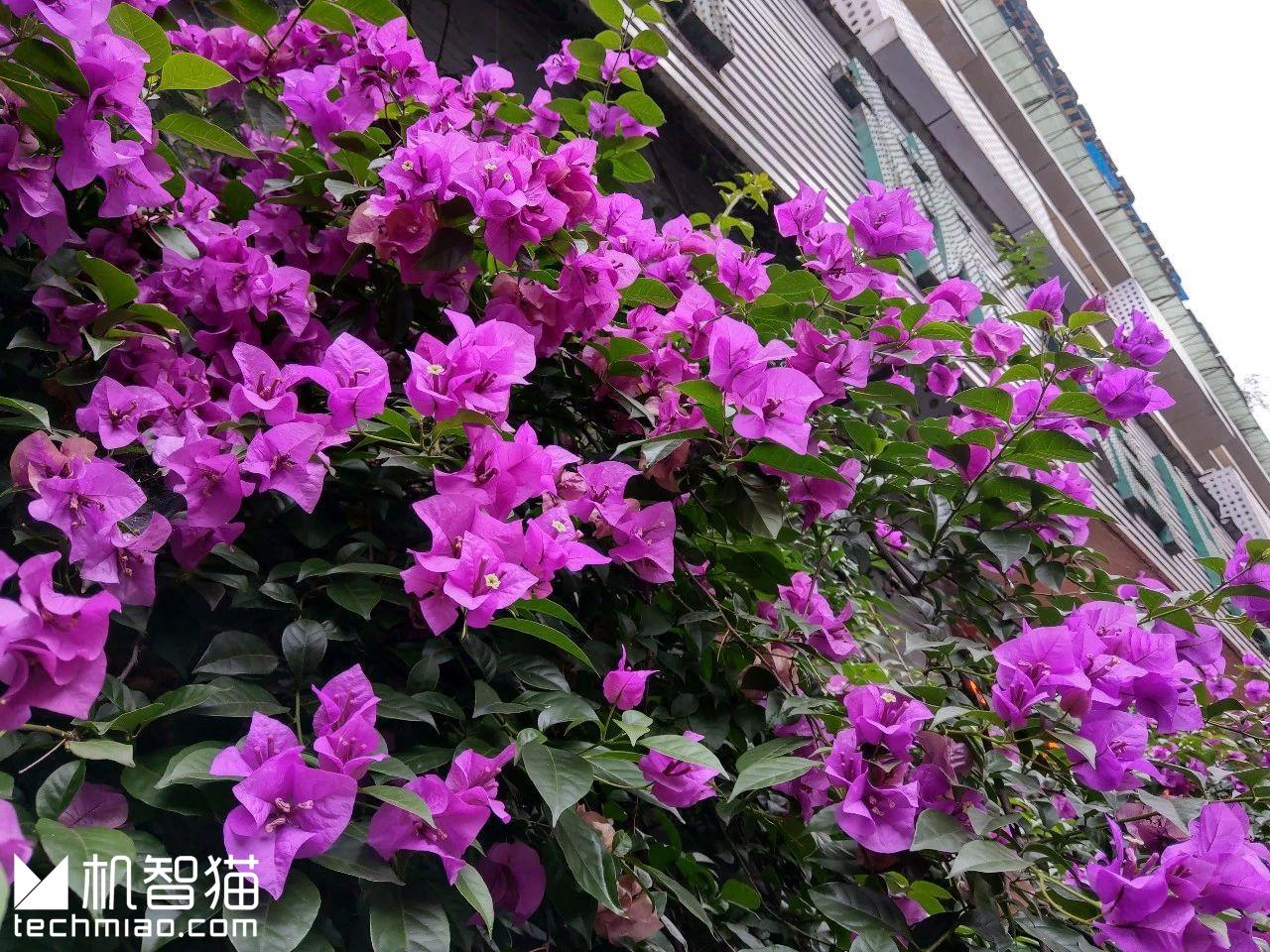 htcu12+与u11+的区别,htcu12+后面有什么