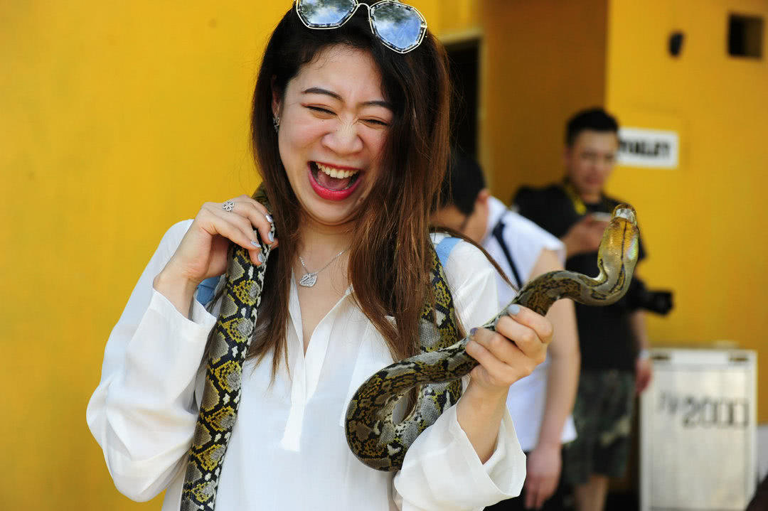 它被誉为“大胃王”，体重达447公斤，一次能吞下大自己10倍动物