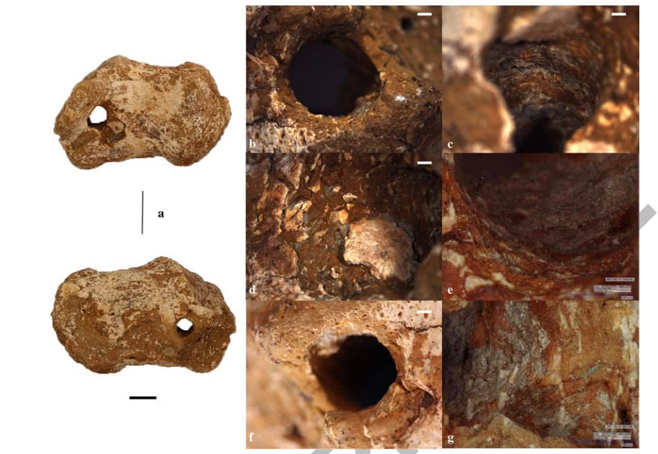 耶稣究竟怎么死的?考古终于发现被钉钉子的人类遗骸