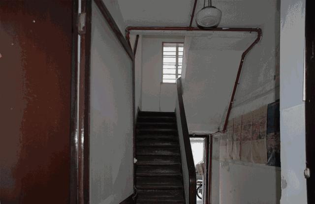 连树都种进房子！71岁高龄老房爆改“回春”，从危房到美宿，不只是惊艳！