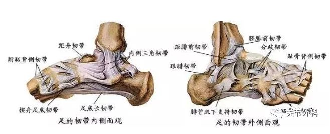 脚崴了用什么方法最有效,走路脚向外歪如何矫正