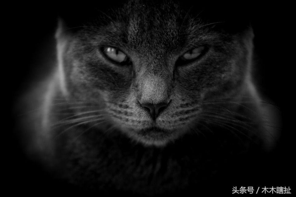 情绪控制不住的心理学,一个人控制不住的心理学