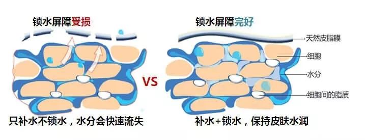 保湿喷雾当作爽肤水,保湿喷雾和面膜