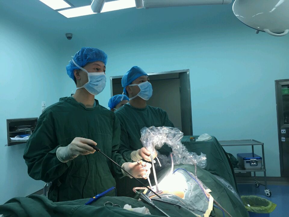 单孔胸腔镜肺癌根治手术获得成功,胸腔镜下肺组织或病灶切除术