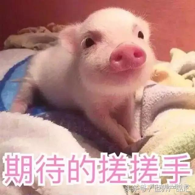 无防晒霜,无防晒霜怎样变白