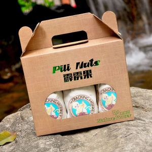 菲律宾坚果特产 (菲律宾腰果干果)