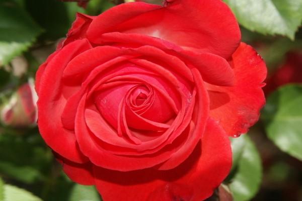 和女生约会带一群人,和女生约会需要问她去哪个地方吗