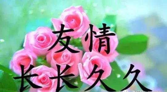 芒种暖心祝福文案,今日芒种的祝福表情动态图