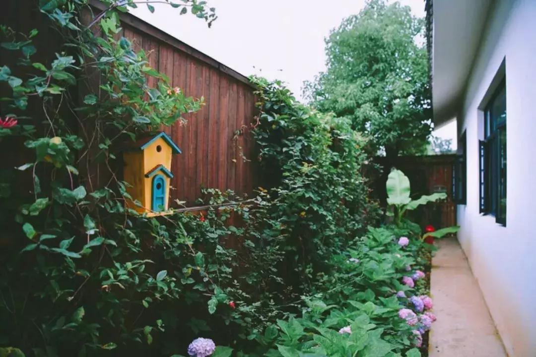 南京不老村，这个画得了插画、种得了花的萌大叔，亲自打造一个家