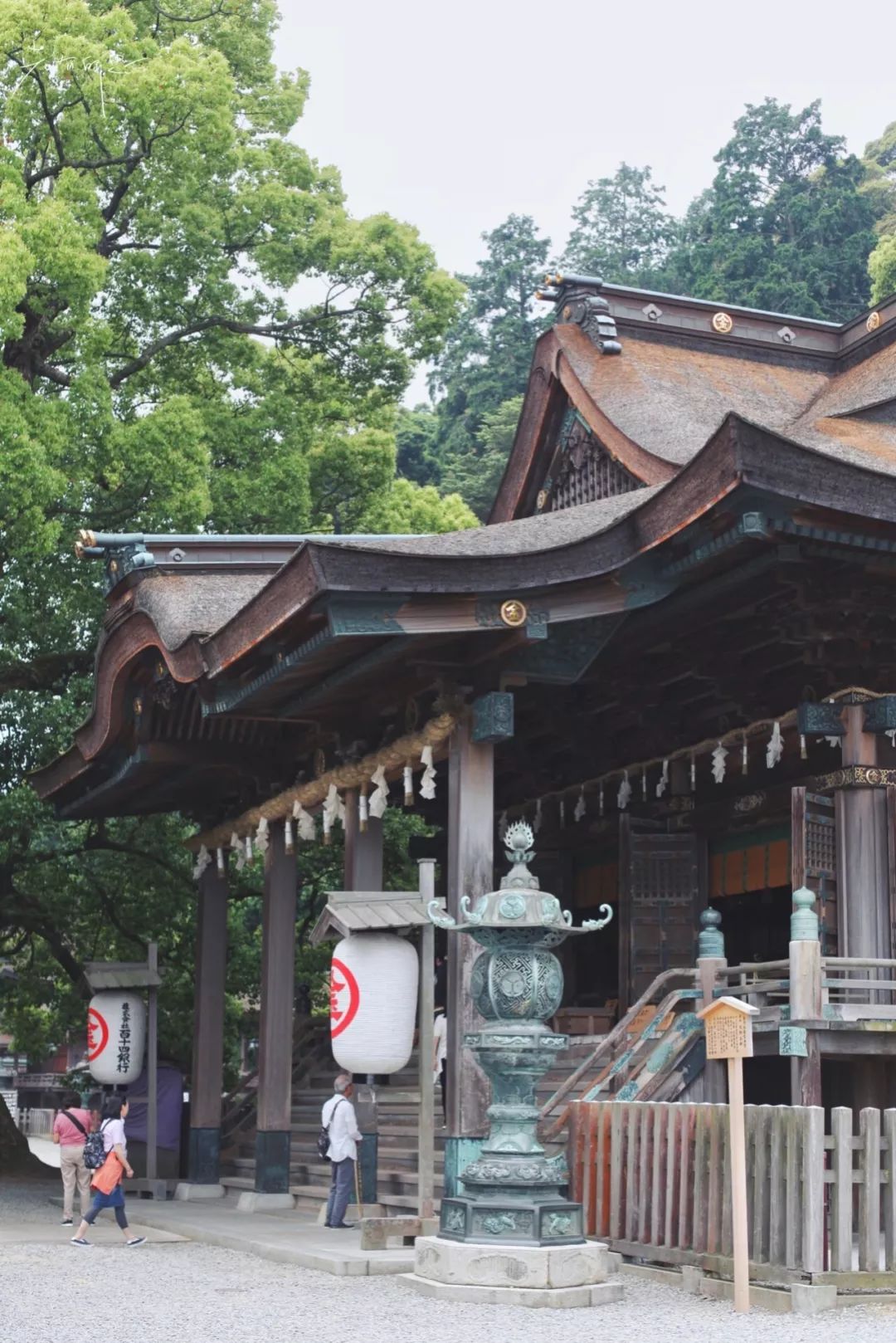 日本的这个地方，很少有中国游客，超级文艺治愈系！