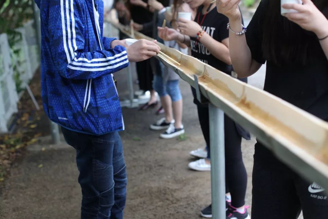 五天四晚适合去哪玩,适合五天四夜清静的旅行