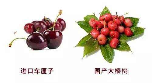 原产中国本土的水果,国产水果进口水果的名称