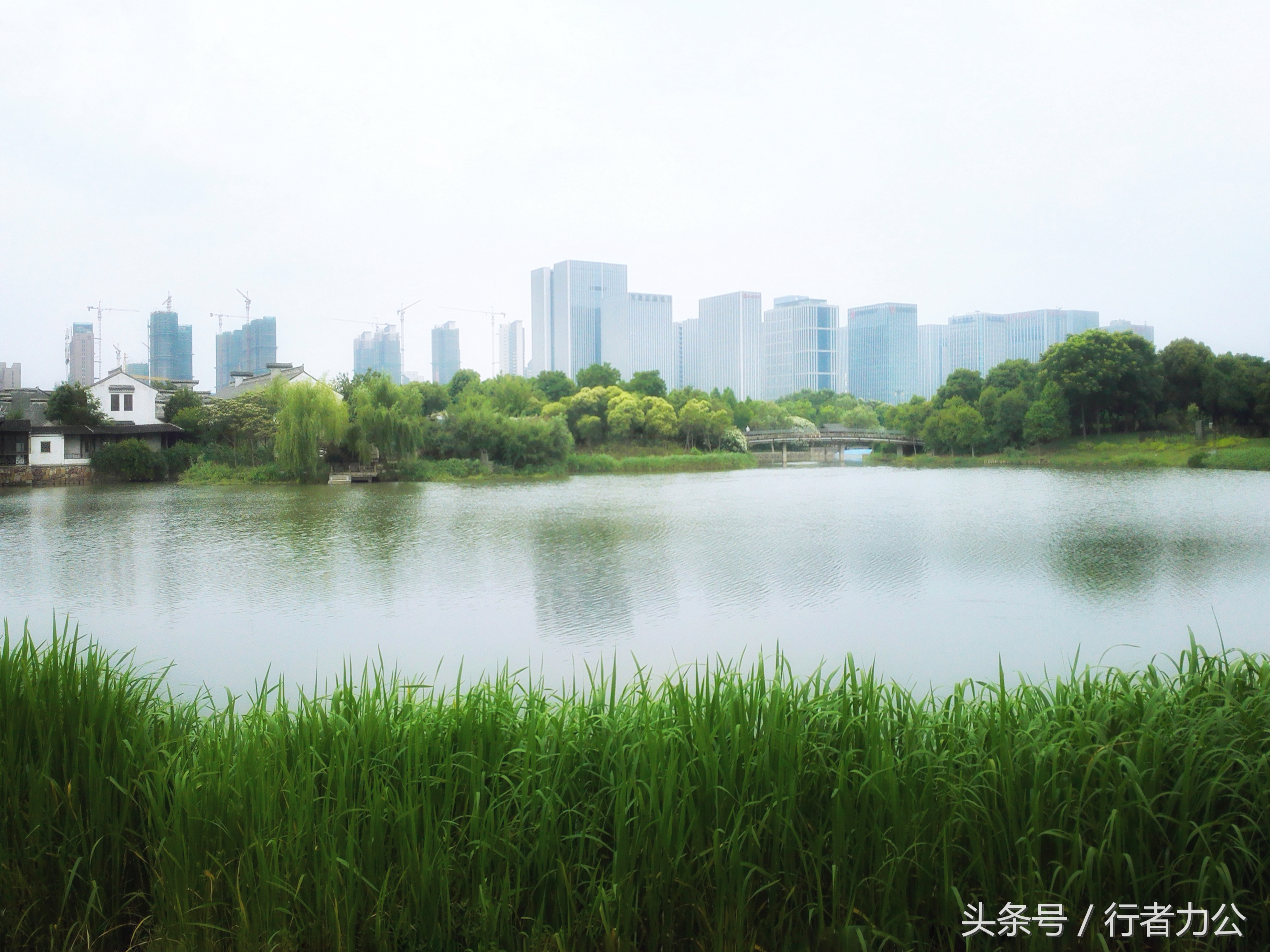 尚贤河湿地公园攻略,尚贤河湿地景点