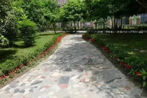 走进乐山一中,乐山一中辉煌时刻