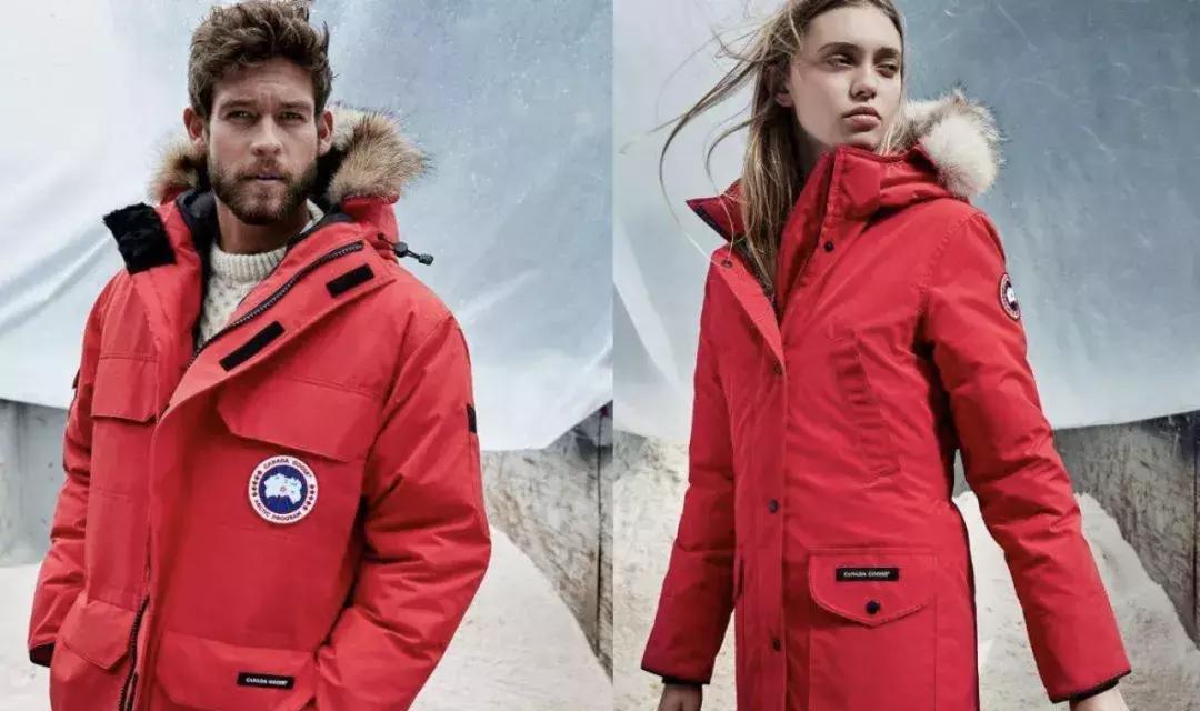 马云同款加拿大鹅多少钱,马云普京穿加拿大鹅