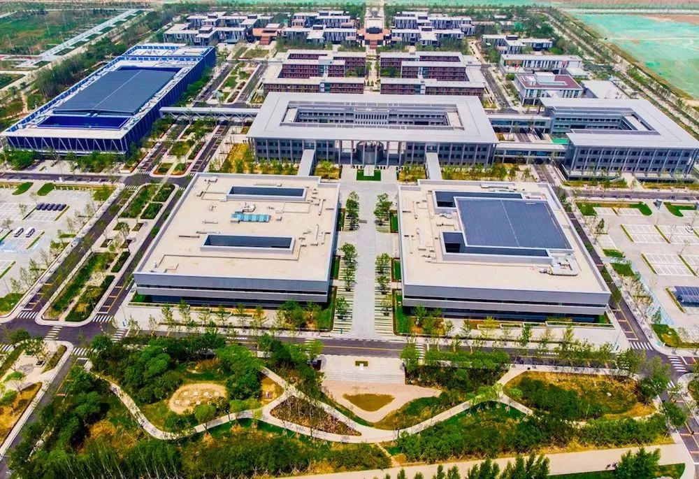 有创意的童谣作品,小学生改编的童谣