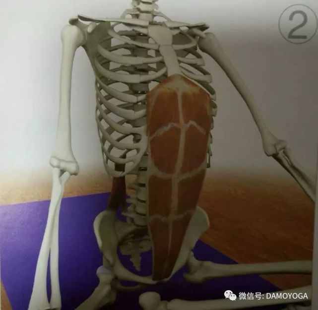 呼吸浅快的处理方法,呼吸太短太浅正确呼吸方式