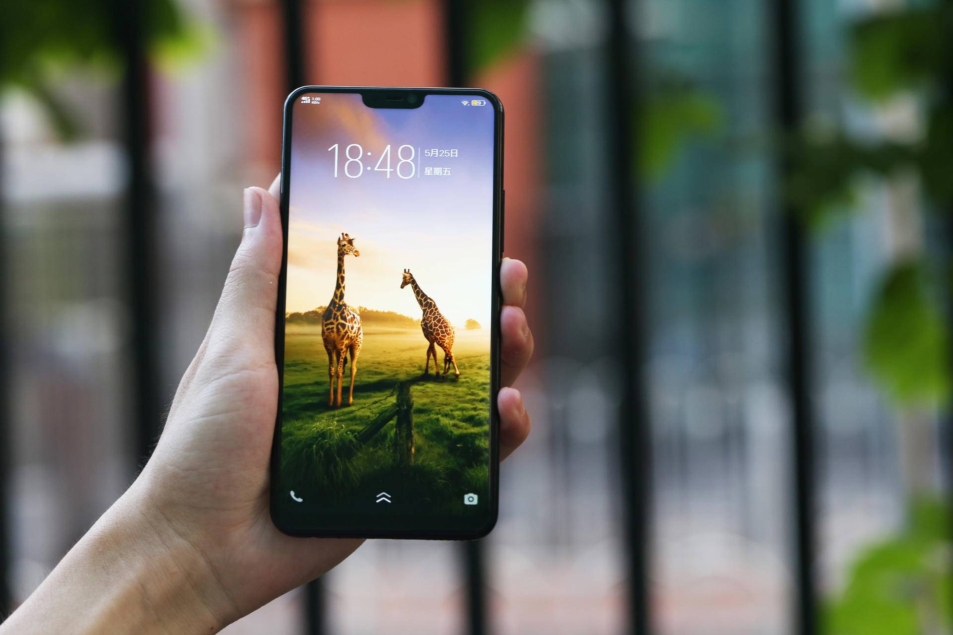 vivo千元机哪款好用性价比高,vivo千元机手机哪款好用性价比高