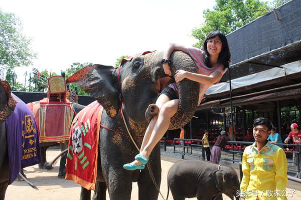 现在去泰国人多吗,现在去泰国玩的人多吗