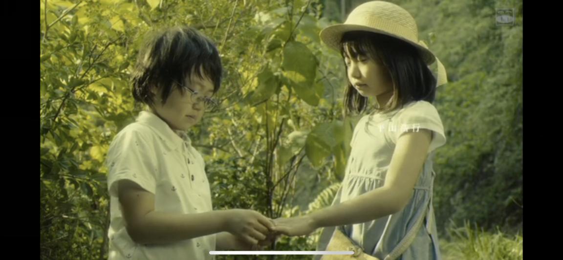 婚内出轨破坏别人家庭法律法规 (破坏和背叛家庭)