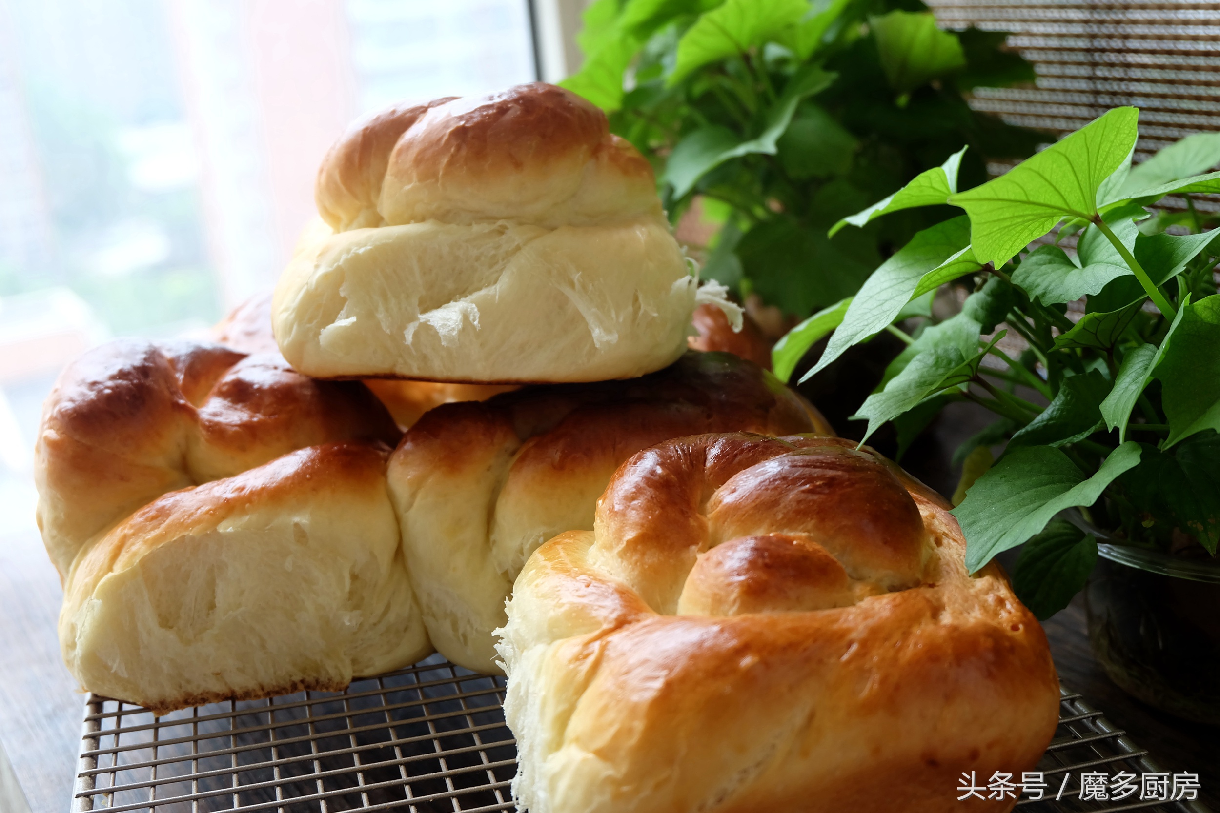 据说这个面包的原配方价值四千元，现在不花钱就能学到，快收藏！