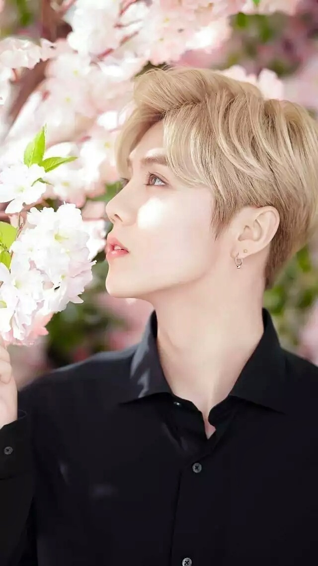 壁纸ipad超清鹿晗,鹿晗壁纸iphone专用