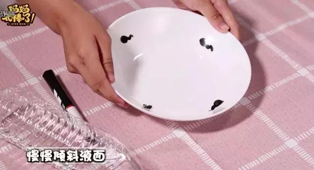 小实验蝌蚪在水里,科学小实验小蝌蚪变青蛙的全过程