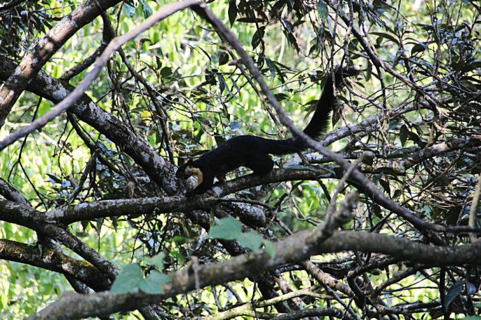 最美樱花温泉,樱花谷泡温泉价目表