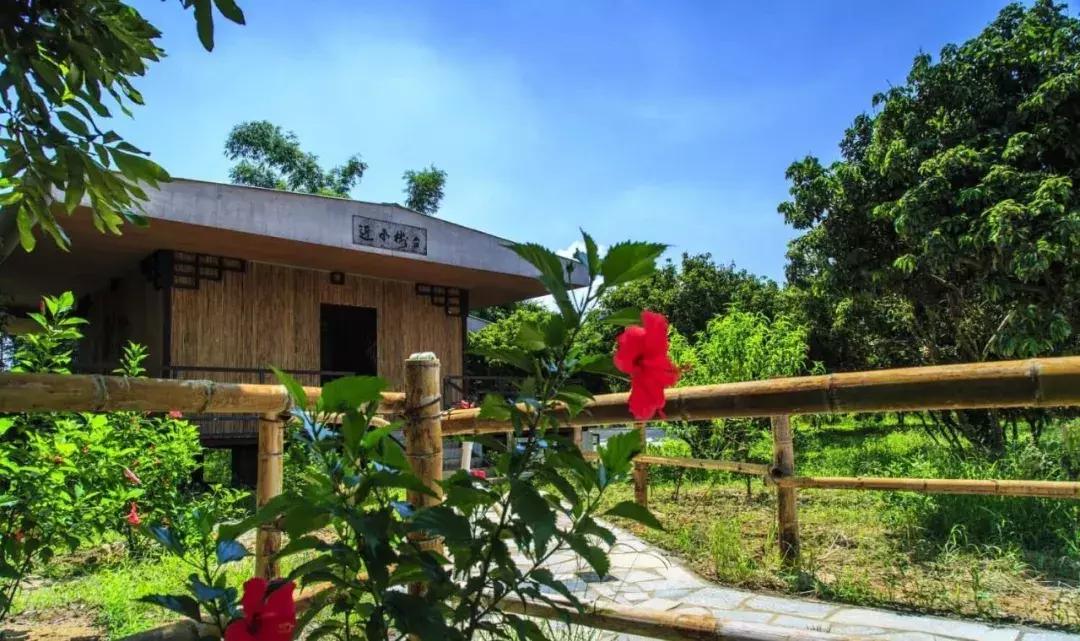 惠州小镇旅游景点推荐,惠州旅游景点小镇推荐