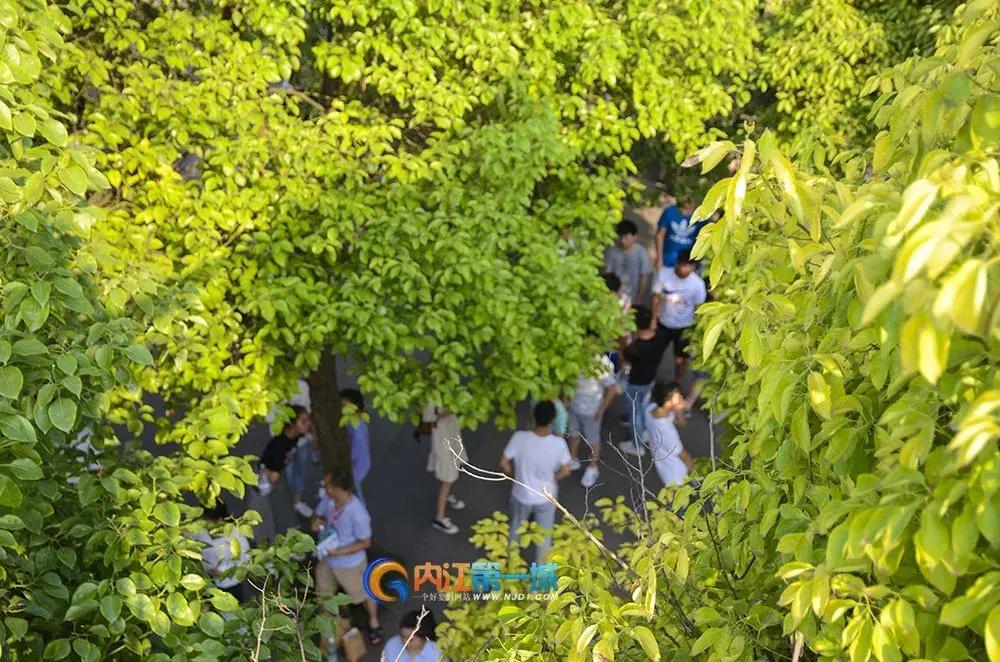 内江翔龙中学高考图片,内江翔龙中学高考现场